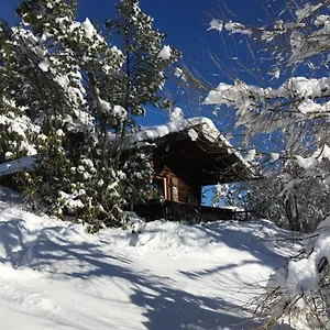https://blockhutte-ferienhutte.com-bavaria.com